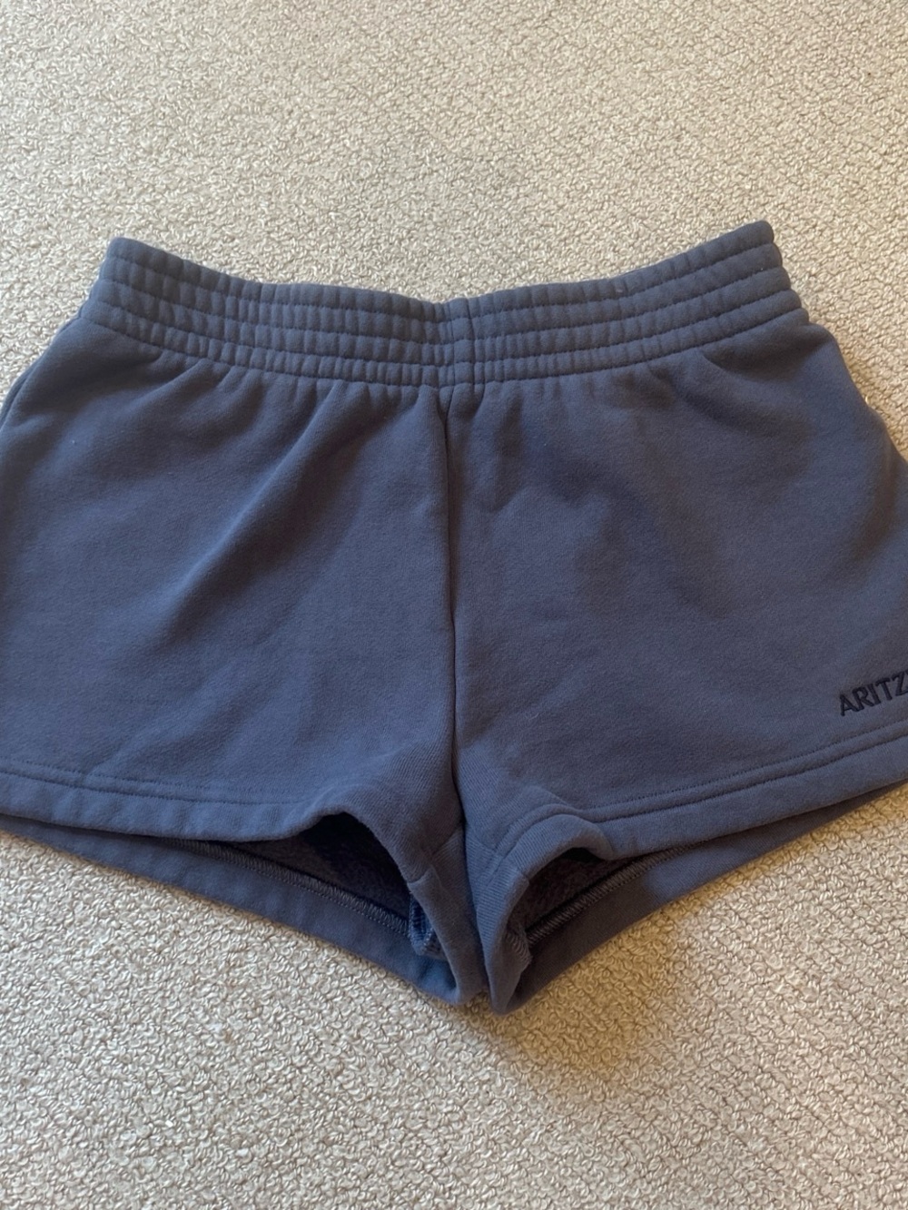 Aritzia Navy Sweat Shorts